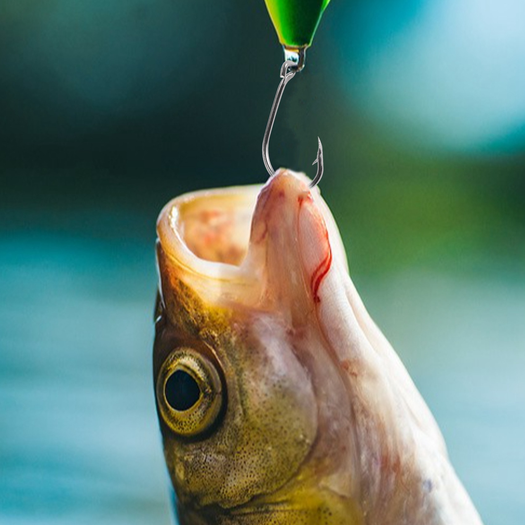 New arrival  500Pcs/Set Mixed  - đánh giá và giá Fishing Hook Size
